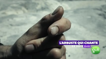 Les contes de Grimm : L'arbuste qui chante - 16 février