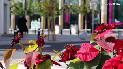 Κύπρος- COVID-19: Ανοίγουν τα σχολεία 10 Ιανουαρίου - Όλα τα νέα μέτρα που αποφάσισε το υπουργικό