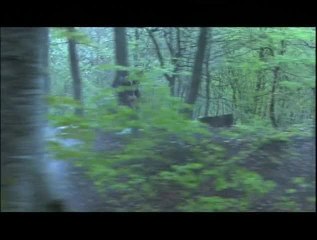 Les Portes du temps - 15 février