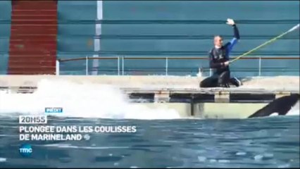 Plongée dans les coulisses de Marineland