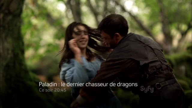 Paladin : le dernier chasseur de dragons