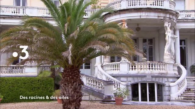 Des racines et des ailes - 7 février