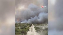 Son dakika! Patagonya yangını 90 bin hektar alanı küle çevirdi