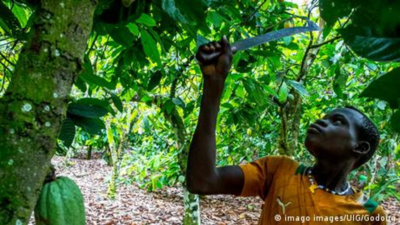 Süße Schokolade – bitterer Nachgeschmack