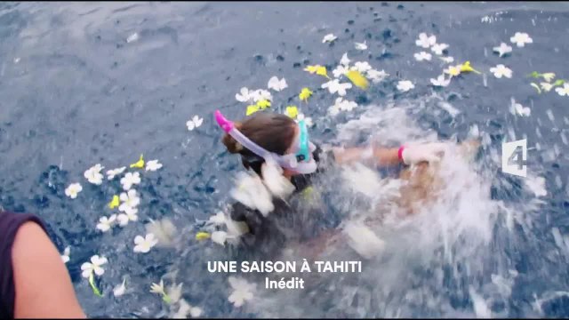 Une saison à Tahiti - 26 janvier