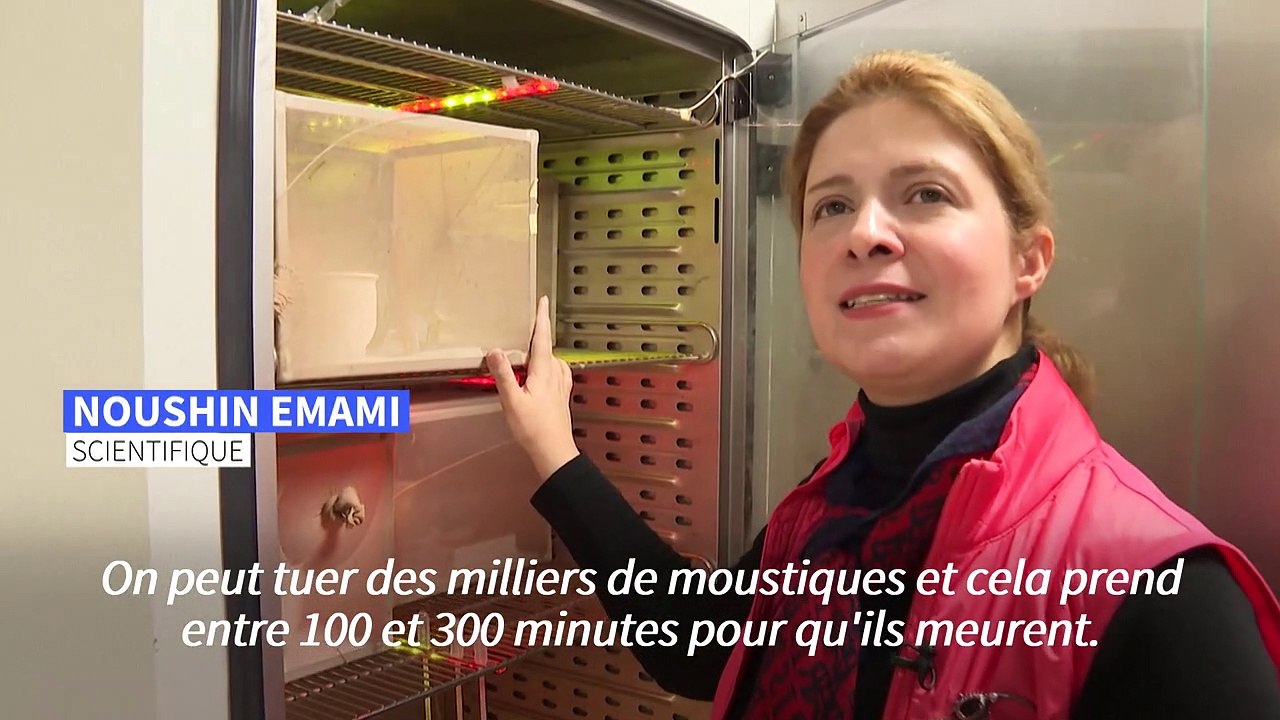 En Suède, des scientifiques créent un sang de synthèse pour tuer les moustiques