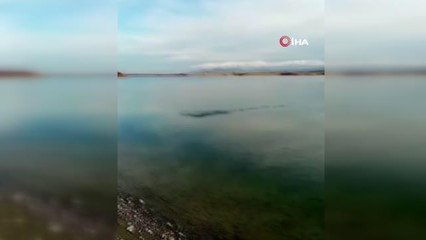 Oltaya balık yerine karabatak takıldı, vatandaş neye uğradığını şaşırdı
