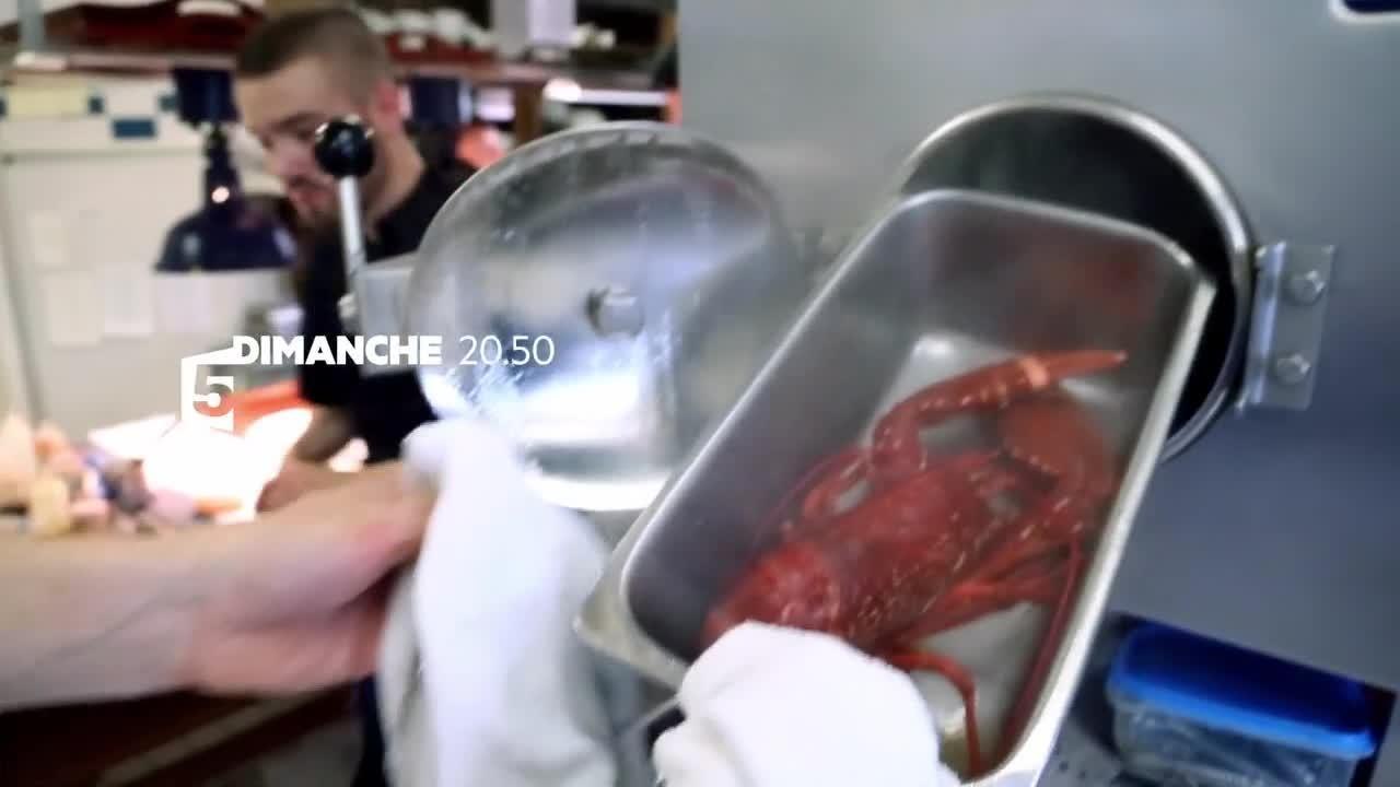 Homard : les pinces de l'Atlantique - 14 janvier