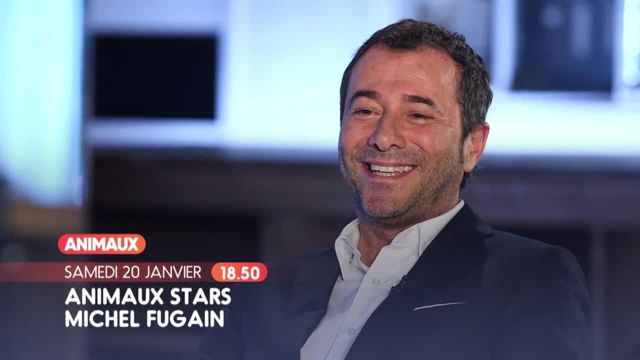 Animaux stars
