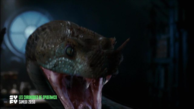 Les chroniques de Spiderwick