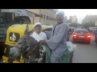 مواطن يشارك في انتخابات مجلس الشيوخ راكبا حماره بالمنوفية