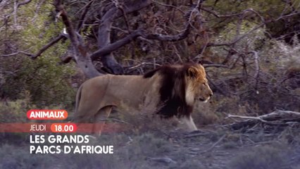 Les grands parcs d'Afrique