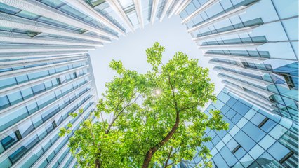 Qu’est-ce que l’éco-conception ?