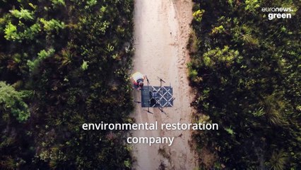 These seed-firing drones are planting 40,000 trees every day to fight deforestation