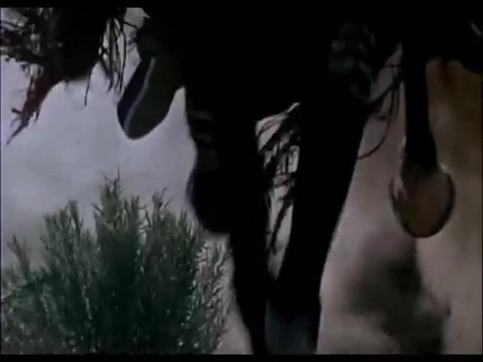 Danse avec les loups