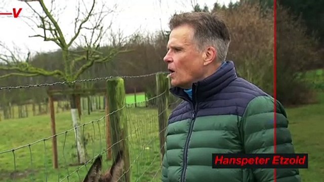 German Shepherd Forms Syringe With Flock of Sheep To Promote COVID Jab