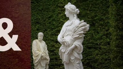 Des racines et des ailes