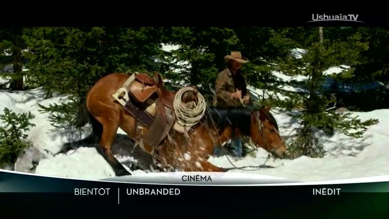 Unbranded