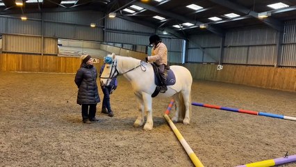 Horses helping people with cerebral palsy to ease their physical discomfort
