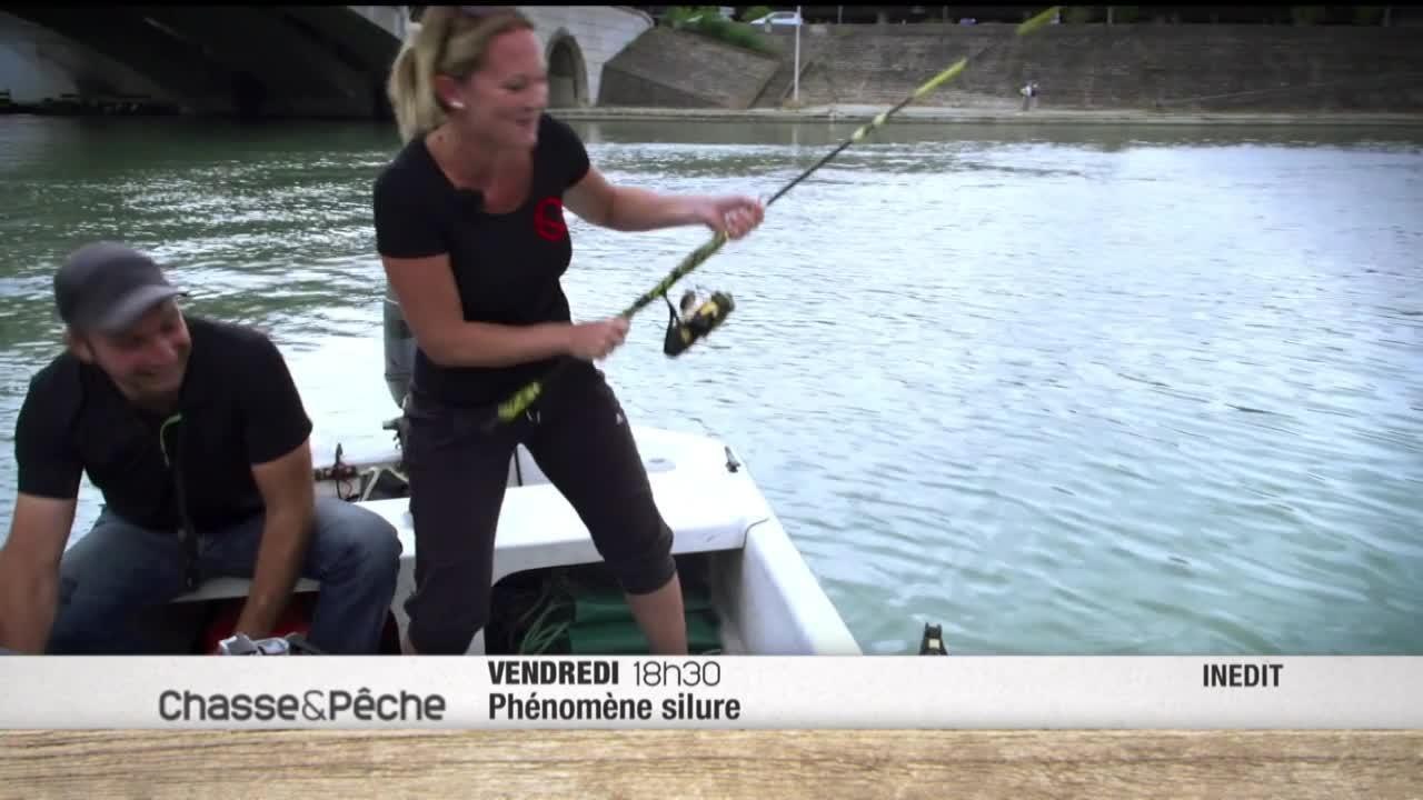 Phénomène silure