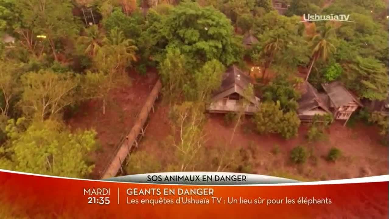 Ayni, l'odyssée du condor