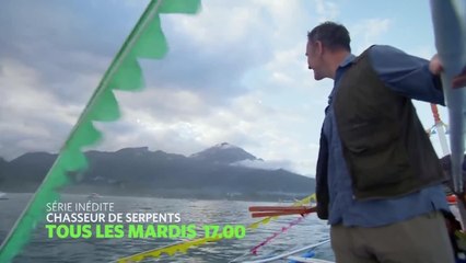 Chasseur de serpents