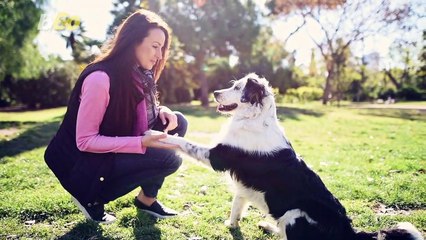 Don’t Confuse Your New Pandemic Pup When Training Them