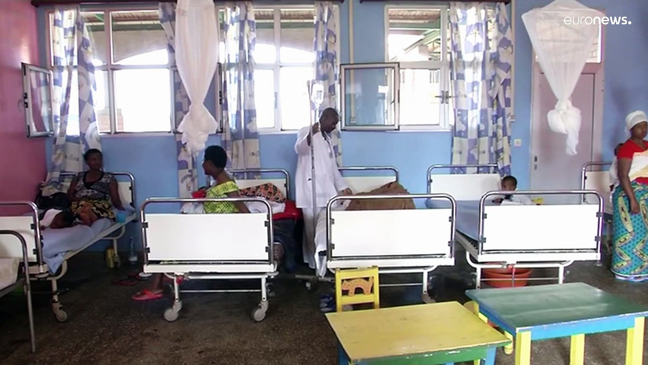 Die Hoffnung im Kampf gegen Malaria steckt im Rote-Beete-Saft