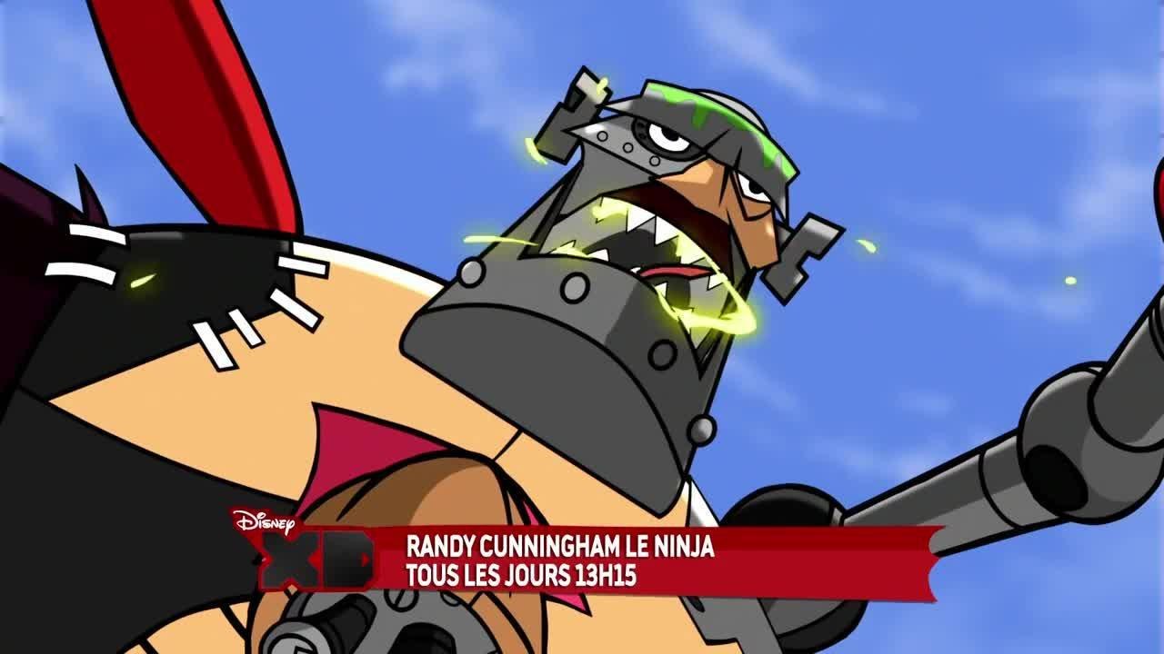 Randy Cunningham, le ninja