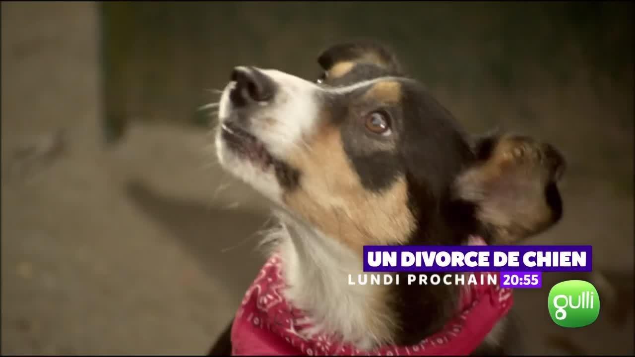 Un divorce de chien - 4 décembre