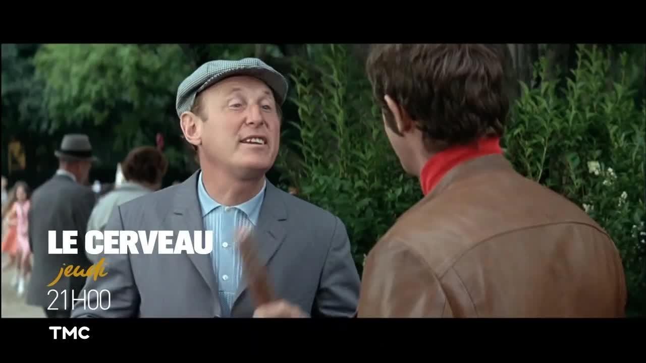 Le cerveau
