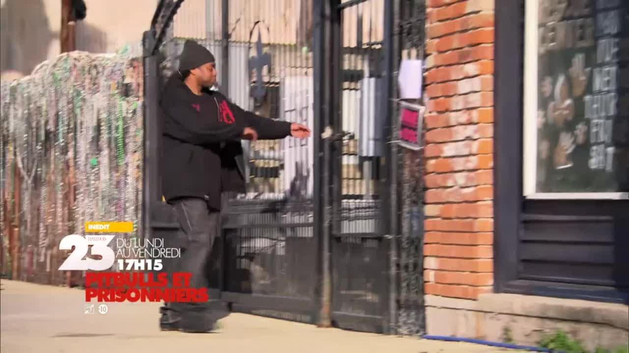 Pitbulls et prisonniers