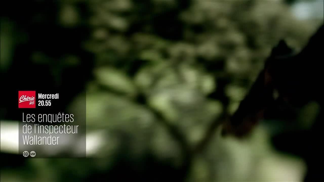 Les enquêtes de l'inspecteur Wallander - 6 dé...