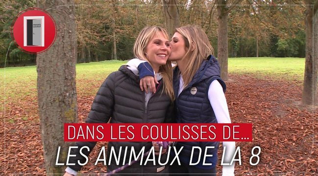 Gaffes et plaisanteries... Dans les coulisses des Animaux de la 8