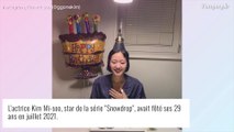 Kim Mi-soo (Snowdrop) : L'actrice sud-coréenne, star de Disney , est morte