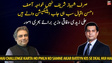 Khawaja Asif, Ahsan Iqbal are all job applicants said, Ali Zaidi