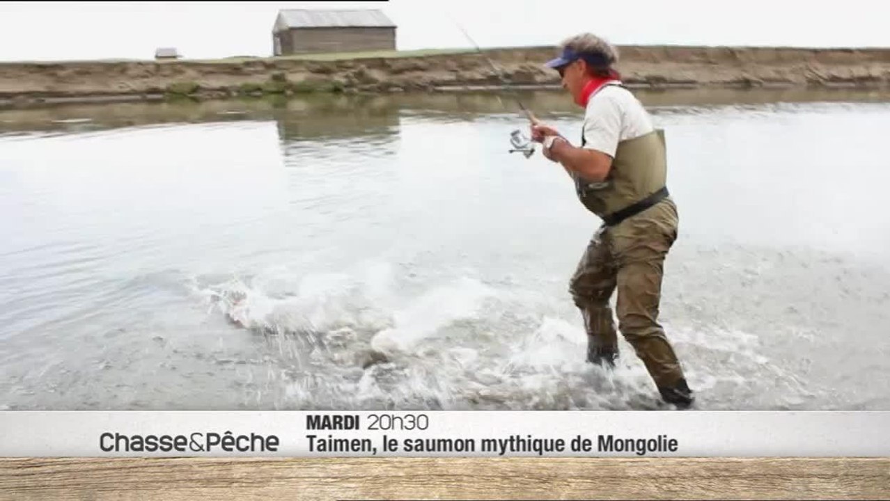 Taïmen, le saumon mythique de Mongolie