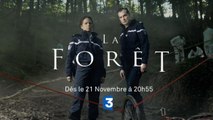 La fôret - 21 nov