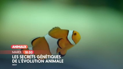 Les secrets génétiques de l'évolution animale