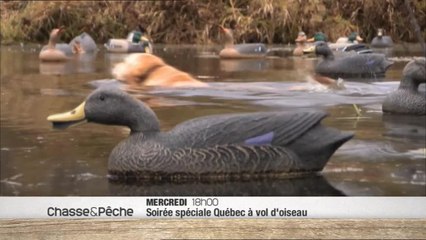 Québec à vol d'oiseau