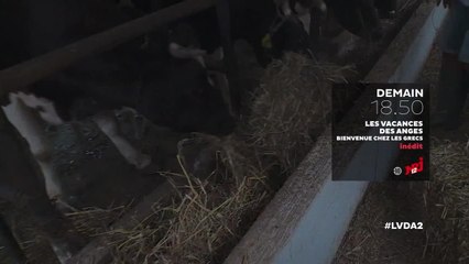 Les vacances des Anges 2, bienvenue chez les Grecs