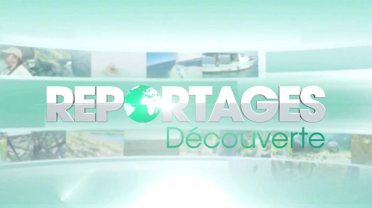 Reportages Découverte (TF1) : découvrez le quotidien de ces jumeaux, champions de France de danses latines