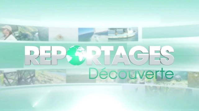 Reportages Découverte (TF1) : découvrez le quotidien de ces jumeaux, champions de France de danses latines