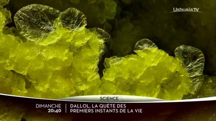 Dallol, la quête des premiers instants de la vie