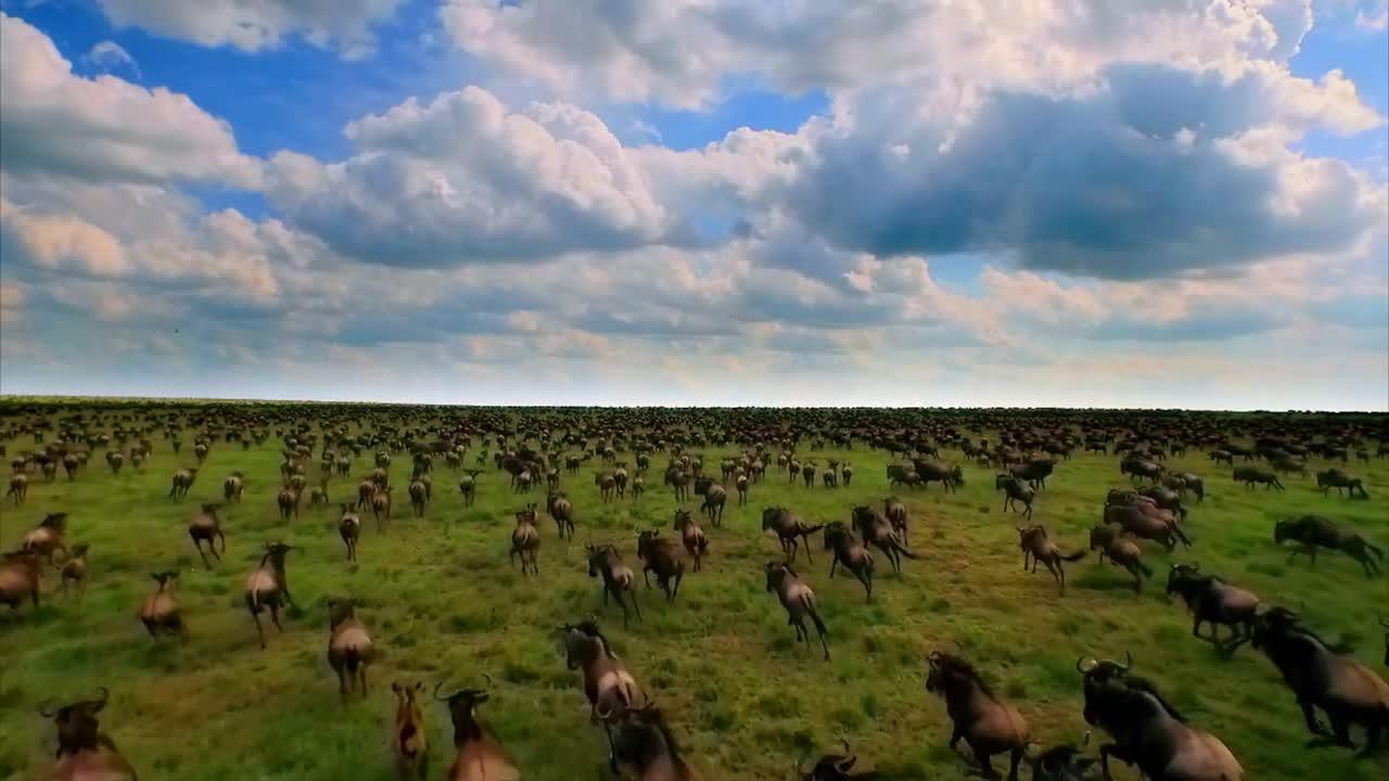 Migrations