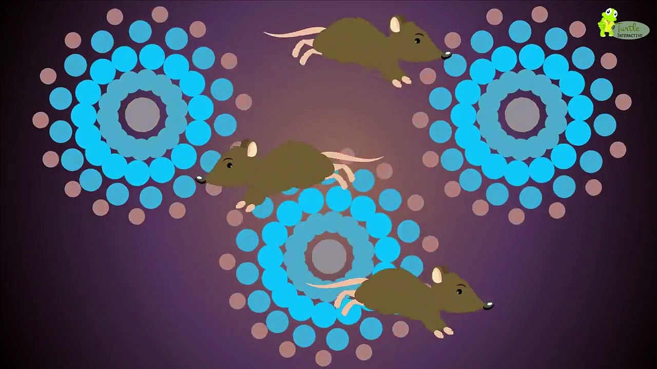 Hickory Dickory Dock | Kids Nursery Rhymes