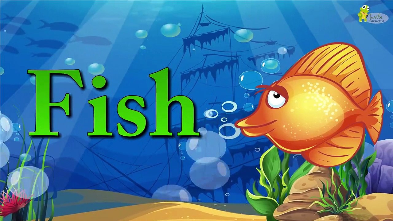 Letter F Song | Alphabets Songs | Letter Rhyme | Nursery Rhymes and Songs for Kids