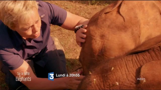 Muriel Robin et Chanee sur la terre des éléphants - 30 octobre