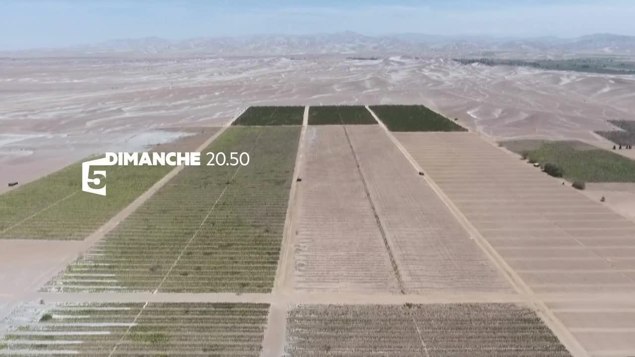 Quinoa, prenez-en de la graine ! - 22 octobre