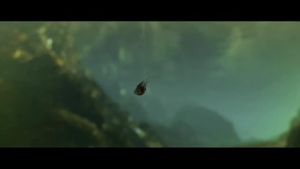 MINUSCULE La Vallée des fourmis Perdues - 22 octobre